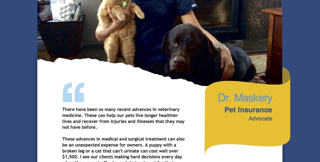 Veterinarian testimonial from Dr. Maskery for Petsecure