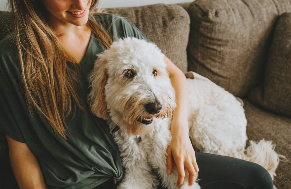 Owner sitting with dog on the couch