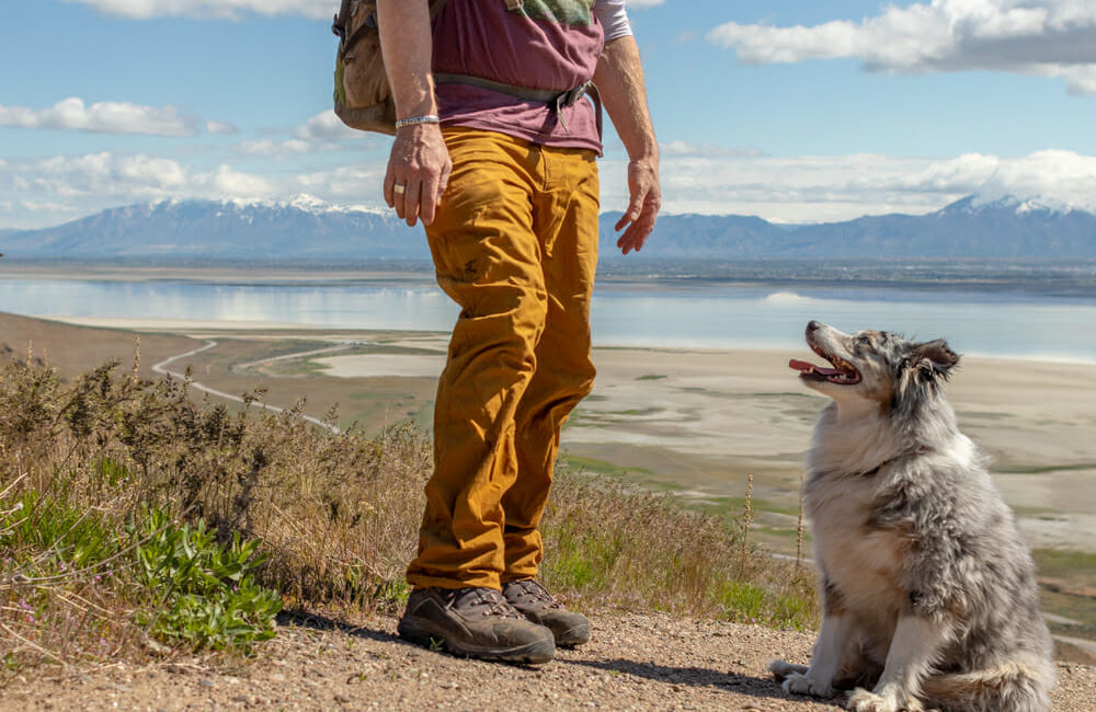 Owner hiking with dog