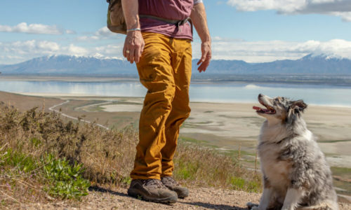Owner hiking with dog