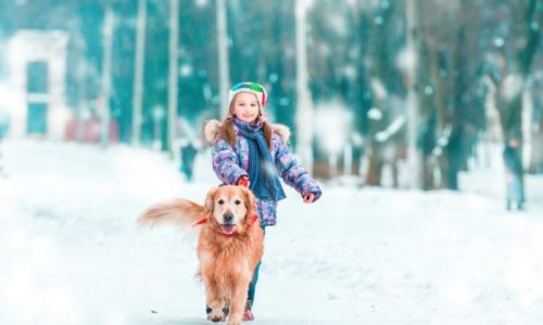 winter-pet-tips