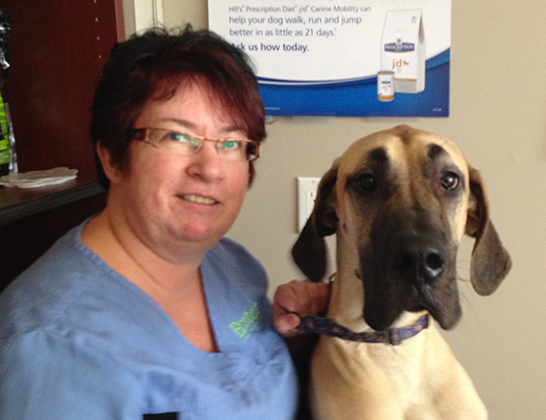 Anne Huard Clinic Manager at Baxter Animal Hospital with dog